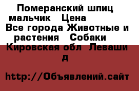 Померанский шпиц, мальчик › Цена ­ 35 000 - Все города Животные и растения » Собаки   . Кировская обл.,Леваши д.